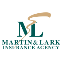 Partner Martin and Lark